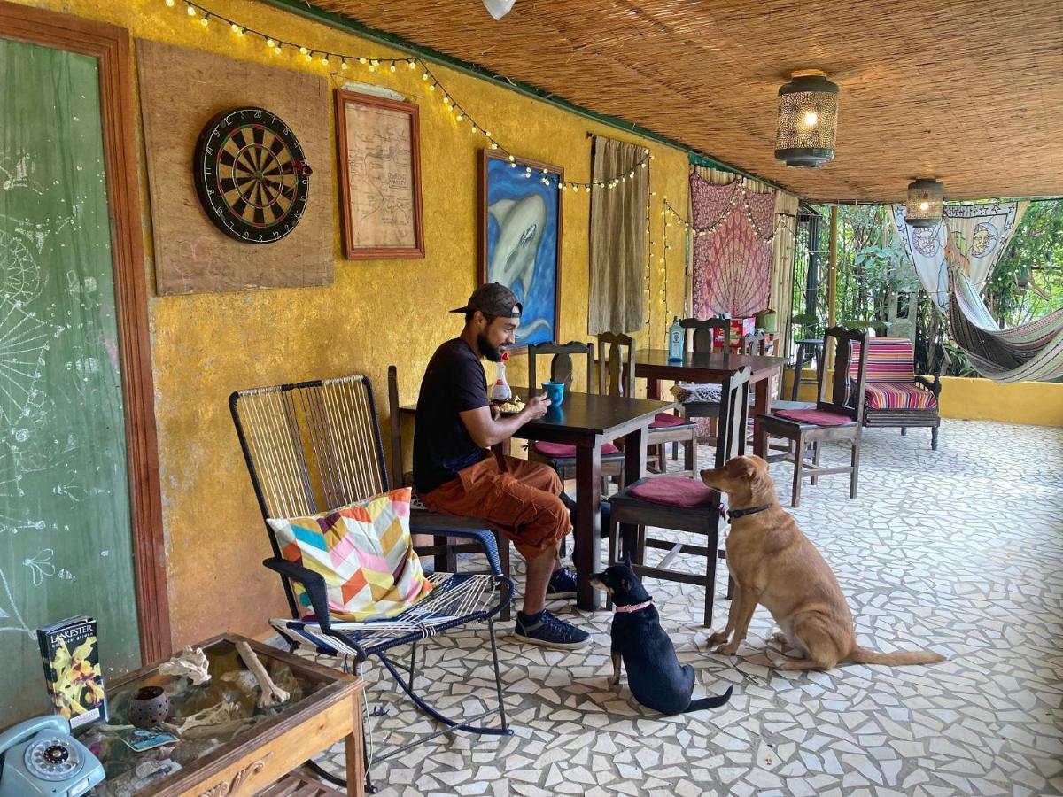 Montana Linda Hostel Orosi Luaran gambar